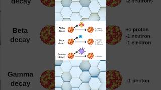 types of radiation explained physics science radiation nuclearphysics atoms [upl. by Frick]