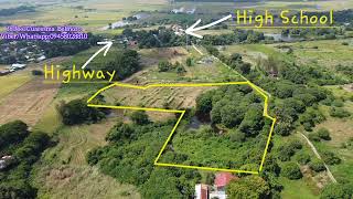 Residential Mangofarm with Riceland in Rosales Pangasinan 23 hectares 65m Only [upl. by Lhadnek174]