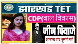 JTET SPECIAL CLASS 2024  Jean piaget theory cognitive developmentJTET syllabus [upl. by Bandeen]