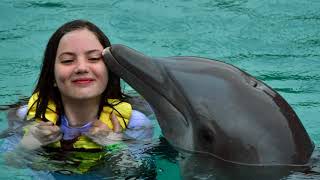 Swimming with Dolphins in Cozumel Mexico [upl. by Caplan]