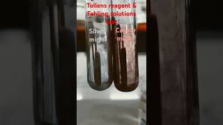 Tollens reagent and Fehling solution test for Aldehyde Functional group analysis class12chemistry [upl. by Nitsu222]