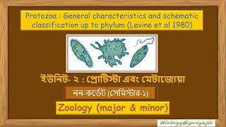 Protozoa  General Characteristics and Schematic Classification up to Phylum Levine et al 1980 [upl. by Oglesby]