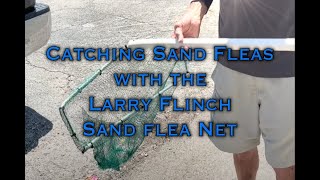 Sand Fleas with the Larry Flinch Sand Flea Net [upl. by Enahsed875]