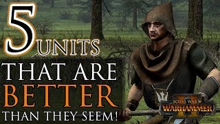 5 UNITS THAT ARE BETTER THAN THEY SEEM  Total War Warhammer 2 [upl. by Yknarf]