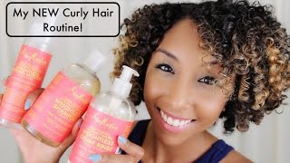 My NEW Curly Hair Routine Shea Moisture Fruit Fusion Coconut Water  BiancaReneeToday [upl. by Gamali905]