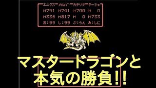 ドラクエ4リバスト伝説【マスタードラゴンに挑戦してみた】 [upl. by Aicatsue]