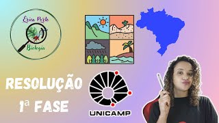 Resolução Questão Unicamp 1ª fase  Biomas Brasileiros  Pantanal [upl. by Frerichs]