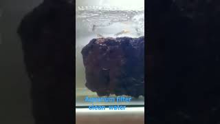 aquarium filter system shortsclear water system  fish tank [upl. by Labotsirhc]