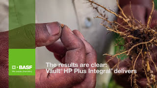 BASF’s crop enhancing technology Vault® HP plus Integral® [upl. by Hedva318]