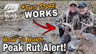 How To Hunt The Peak Rut Weather Forecast [upl. by Gordy]