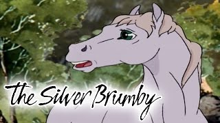 The Silver Brumby 112  Golden Goes Home HD  Full Episode [upl. by Ecertap]