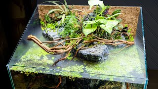 DIY Paludarium with Foggy Waterfall [upl. by Anivlek903]