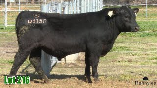 Lot 216 Rennylea NOR23U1158 [upl. by Guenna]