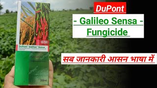 galileo sensa fungicide uses  picoxystrobin  tricyclazole fungicide uses  dupont  a2z farming [upl. by Frodeen]