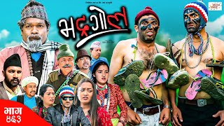 Bhadragol  भद्रगोल  Ep 463  25 Oct 2024  Yadav Drona Baldip  Nepali comedy  Media Hub [upl. by Aryas]