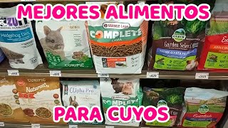 🐹✔️ 3 MEJORES ALIMENTOS para CUYOS  COBAYAS [upl. by Pero]