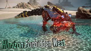 Horizon Forbidden West Levelling Guide [upl. by Dewhirst]