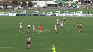 2014 Round 09 v Sandringham Dragons  First Half [upl. by Ujawernalo460]