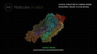 Molecules in silico ･ CRYSTAL STRUCTURE OF JUMPING SPIDER RHODOPSIN1 BOUND TO 9CIS RETINAL [upl. by Auqenat]