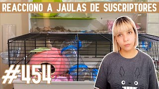 REACCIONO a JAULAS para HAMSTER de SUSCRIPTORES [upl. by Niret]