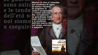 Johann Wolfgang Von Goethe Mentre la vita ci trascina [upl. by Esil190]