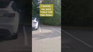 CANADA has More TESLA CAR Than Dubai [upl. by Hnad]