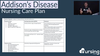 Nursing Care Plan for Addison’s Disease Nurse Care Plans [upl. by Llehcam]