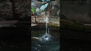 Simple mini fountain [upl. by Vania]