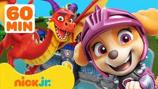 PAW Patrol Dragon Adventures amp Rescues 🐉 1 Hour  Nick Jr [upl. by Pernell]