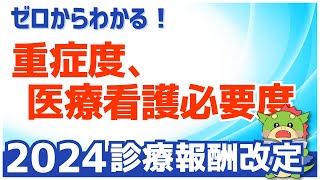 【入門編】重症度、医療・看護必要度とは？（令和6年度2024年度改定） [upl. by Tcideneb853]