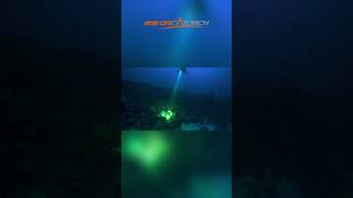 Best Light for Dive Instructor orcatorch scubadiving divelight [upl. by Asenaj296]