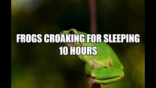 Frogs Croaking for sleeping 10 Hours [upl. by Elah]