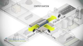 Wheat starch process [upl. by Shiroma367]