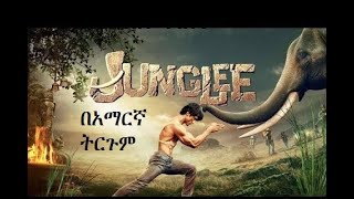 🛑junglee የህንድ የትርጉም ፊልም tergum film Amharic Lyric wase 2022 Netsebraq [upl. by Ffirahs]