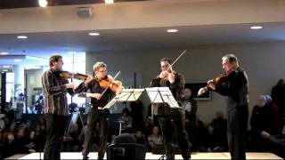 Oblivion Berlin Philharmonic Viola Quartet [upl. by Vick846]