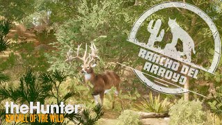 the Hunter Call of the Wild  Rancho del Arroyo [upl. by Nevla]