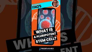 🌟 What are Pluripotent Stem Cells  Regenamex Explains 🧬✨ stemcells [upl. by Livvy]