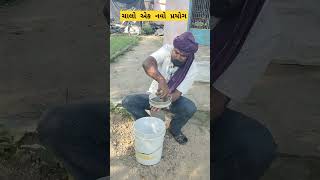 ચાલો એક નવો પ્રયોગshortsfeed video Gujarati song [upl. by Andres]