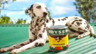 BOYSEN Roofgard “Dalmatian” TVC [upl. by Sorcha]