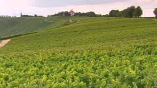 WineProducing Regions  Mosel Pfalz and Franconia  Discover Germany [upl. by Aissilem80]