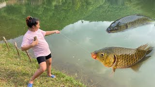 5month pregnant girl goes fishing with a dragnet and catches a lot of fish  Fishing with a dragnet [upl. by Hgielrebma]