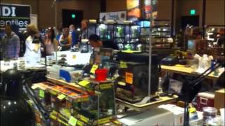 Las Vegas Reptile Expo [upl. by Thane]