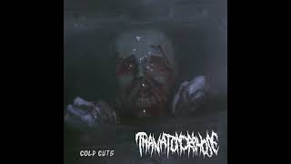 THANATOMORPHOSE GOREGRIND  Cold Cuts double EP 2024 [upl. by Allecsirp]