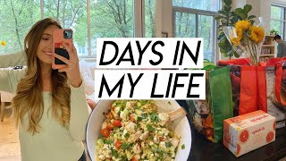 DAYS IN MY LIFE  huge Trader Joes haul honest health update and prepping for the week [upl. by Pedaiah1]