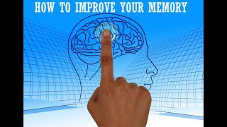 How To Improve Your Everyday Memory [upl. by Vin]