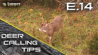 Deer Calling Tips  E14 SnortWheeze [upl. by Erie666]