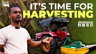 IT’S TIME FOR HARVESTING  11102024  GNH [upl. by Averyl]