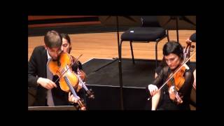 Telemann double viola concerto pour deux altos [upl. by Baxy]