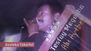 quotAlu Aytbeliquot Tesfay Mengesha Part 3 Eritrea Love music 2018 [upl. by Racso]