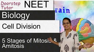 Cell Division  Mitosis amp Amitosis 5 Stages of Mitosis  Memory Tricks  NEET  AIIMS  MCAT [upl. by Enyala]